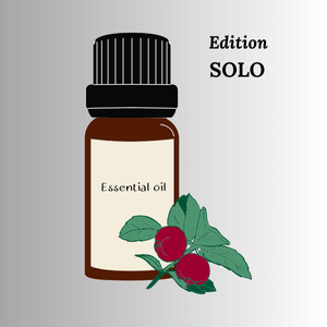 Édition Solo — L’essentiel